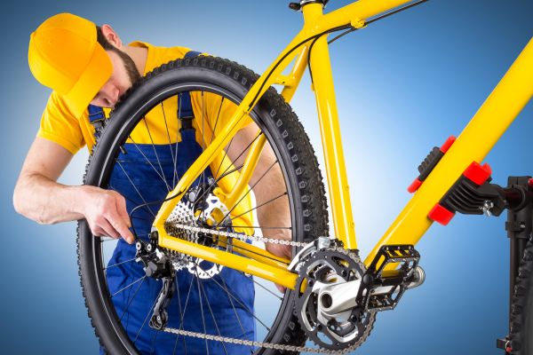 Bike Assembly in Brentwood