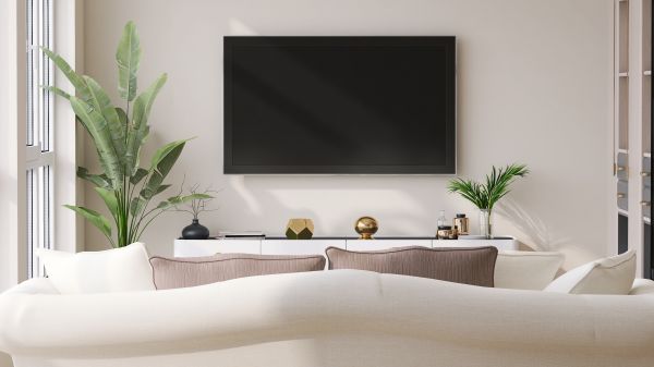 Tv Mount Assembly